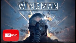 VTOL VR PvP and Project Wingman [upl. by Elcin107]