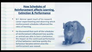 Schedules of Reinforcement in Operant Conditioning  The Psychology of Learning  Stage 2 Psychology [upl. by Fatsug792]