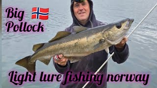 light tackle lure fishing for big Pollocknorway 🇳🇴 [upl. by Laerdna]