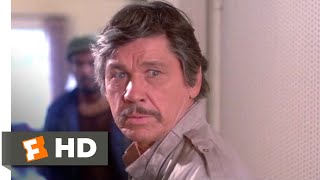 Death Wish II 1982  Home Invasion Scene 312  Movieclips [upl. by Yhtomit979]