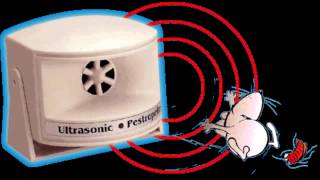 Sunet Ultrasonic Anti Soareci [upl. by Ikcim]