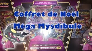 Ouverture du coffret de Noël Méga Mysdibule  Magnifique coffret [upl. by Trela]