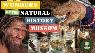 The Wonders of Londons Natural History Museum  An InDepth Guided Tour [upl. by Meares36]