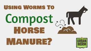 Vermicomposting Horse Manure Is It a Good Idea [upl. by Sparky108]