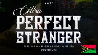 Cottsii  Perfect Stranger  Baka Solomon x Wild Jay Motion 2024 🇸🇧 [upl. by Namajneb]