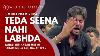 Teda Seena Nahi Labhda  Mir Hasan Mir  Haram Mola Ali Najaf  3 Muharram 2024 [upl. by Anneuq84]