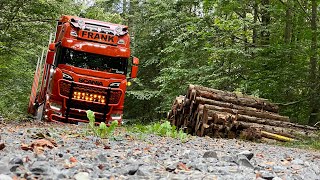 Holztransport Scania Wald [upl. by Ahsitra]