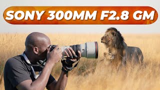 Sony 300mm f28 GM OSS First Look [upl. by Means]