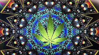 Psytrance Experience  Cannabis Control 👽 Space Hemp  THC mix 2023 [upl. by Amaty]