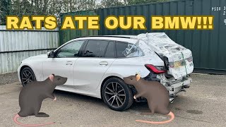 DID WE WASTE £10K BUYING A CAR AT COPART SALVAGE AUCTION PT2 [upl. by Geiger]