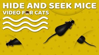 CAT GAMES MOUSE  Hide and Seek Mice Video for Cats to Watch  CAT amp DOG TV [upl. by Yusuk]