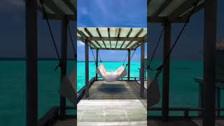 quot Dream Honeymoon In The Maldives 🇲🇻👫  Spectacular Hotel View quot maldives travel [upl. by Olemrac453]