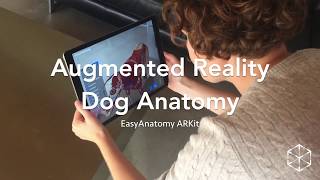 Learn Canine Anatomy in Augmented Reality  EasyAnatomy [upl. by Tdnaltroc]