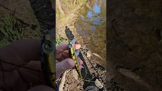 Storm thunderstick lure lurefishing [upl. by Nosrej770]