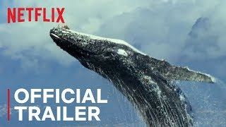 Our Planet  Official Trailer HD  Netflix [upl. by Ziegler180]