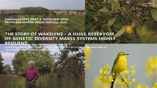 Agroforestry Wakelyns Farm Martin Wolfe Part 2 A huge reservoir of genetic diversity [upl. by Howie]