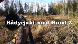 Rådyrjakt med hund 3 [upl. by Cynar781]