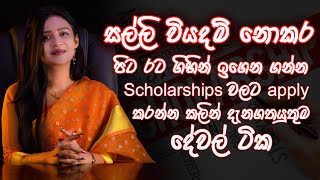 How to apply  Foreign Scholarship for Sri Lankan students 2023  2024 [upl. by Creight954]