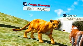 The Wolf  Cougar Champion In Featured Green Hills 🏆 [upl. by Akinas]