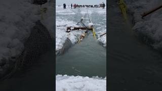 Ice fishing net hoisting process [upl. by Illa]