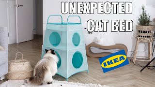 Unexpected cat bed from IKEA 🙀  mmeowmmia [upl. by Airad]