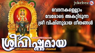 വേദനകളെല്ലാം വേരോടെ അകറ്റിടുന്ന ശ്രീവിഷ്ണുമായ ഗീതങ്ങൾ  Vishnumaya Devotional Songs [upl. by Anidualc600]