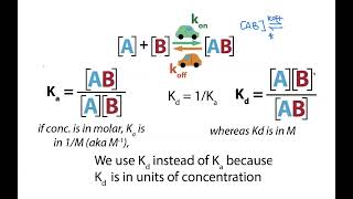 Biochemical binding thermodynamics  Kd Ka and their interpretation [upl. by Luahs]