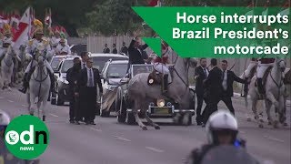 Skittish horse interrupts Brazil presidents motorcade [upl. by Luba176]