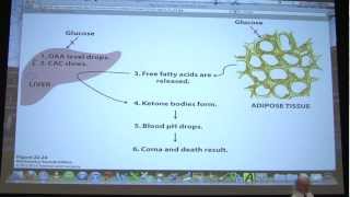 37 Biochemistry FatFatty Acid Metabolism I Lecture for Kevin Aherns BB 451551 [upl. by Melia]