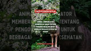 Konsultasi Pengobatan Alami bonding animalcommunicator animalcommunication edukasihewan [upl. by Sairahcaz]