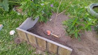 Diy decoração de JARDIM com CIMENTO e EFEITO MADEIRA para PLANTAS [upl. by Selwin]