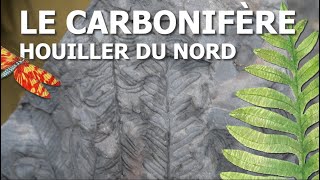 Le Carbonifère houiller du Nord et sa flore fossile [upl. by Andromede557]