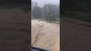 Flash flood in Bolgheri [upl. by Norrie754]