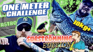 Metergädda challenge STRAFFISKE  Förlorarna måste äta SURSTRÖMMING 10kg GÄDDA [upl. by Otrevire]