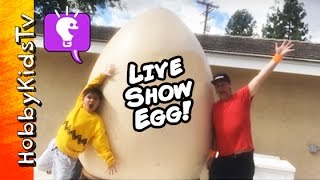 Giant LiVE SHOW Egg  Surprise Toys with HobbyKidsTV [upl. by Eggett]