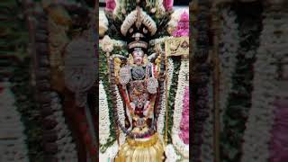 Murugan whats app status video song 🙏 🦚🥰 musicalm3h shorts murugan devotionalsongs [upl. by Araiek]