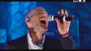 REM  Animal Live [upl. by Boor]