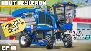 LOOK WHATS CROPPED UP IN THE SALE  Farming Simulator 22  HautBeyleron  Episode 18 [upl. by Bee]