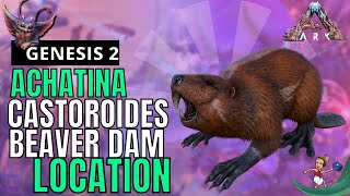 Ark Genesis 2 CASTOROIDESBEAVER DAM ACHATINA LOCATION [upl. by Nedi]