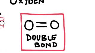 Double and Triple Covalent Bonds [upl. by Ynney]