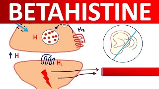 Betahistine tablets  Mechanism precautions side effects amp uses [upl. by Yulma441]