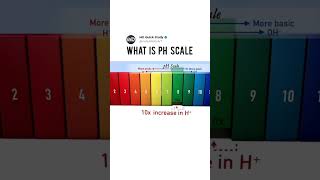 What is pH Scale  pH Scale Kya Hota science phscale acid base [upl. by Clardy276]