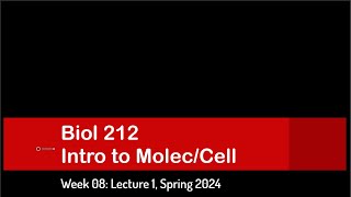 CSULB Spring 2024 Biol 212  Week 8 Lecture 1 [upl. by Cheatham]