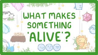 GCSE Biology  Characteristics of Living Things Organisms 3 [upl. by Valina]