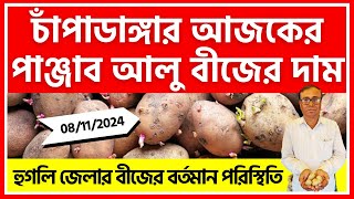 08112024  চাঁপাডাঙ্গার আজকের আলু বীজের দাম Potato Seeds Price in Champadanga  India Potato News [upl. by Sirronal]