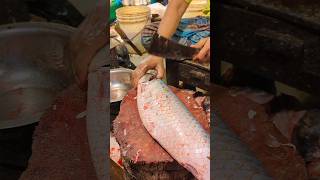 Fish Cuttng lnFishreels Marketshortvideo fishcuttingskills viral shortsshortvideoshortvid [upl. by Skye]