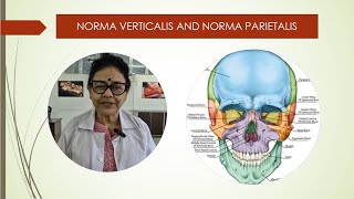 Norma verticalis and norma lateralis [upl. by Fridell]