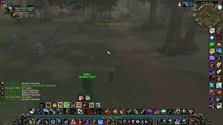 WOW CLASSIC  HOW to AOE GRIND with HUNTER [upl. by Ainel]