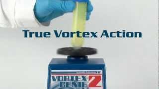 Scientific Industries VortexGenie 2 Variable Speed Vortex Mixer [upl. by Rundgren129]