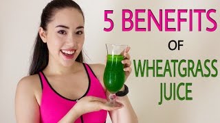 🌿 WHEATGRASS THE MIRACLE SUPERFOOD  Why We All Need To Drink Wheatgrass Juice Daily ☀️ [upl. by Odilia]